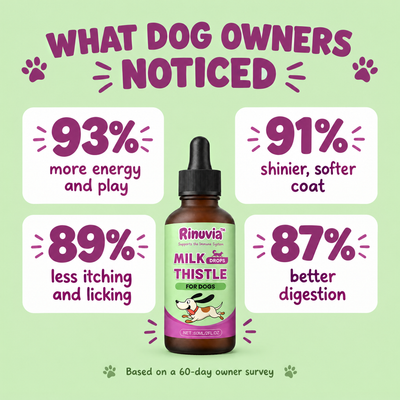 What dog owners noticed