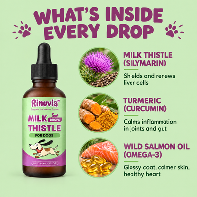 What's inside every drop