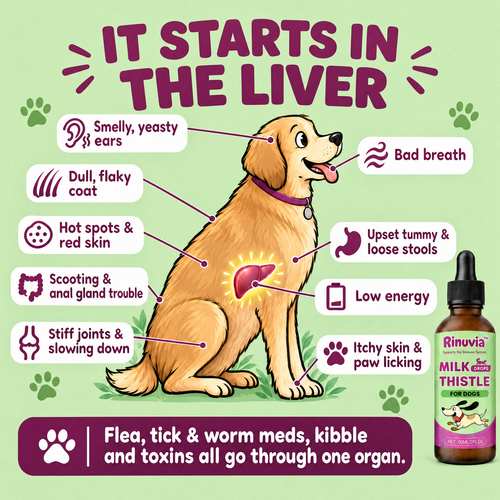 Rinuvia Milk Thistle Drops for Dogs